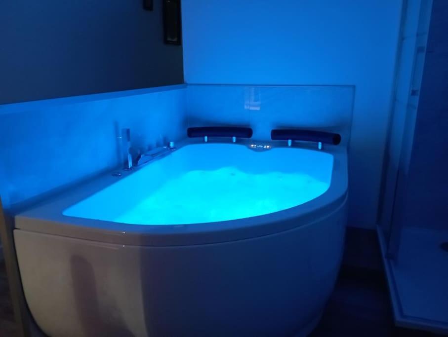 Sejour Sauna Et Jacuzzi Cocon La Roche-sur-Yon Eksteriør billede